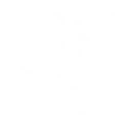 Creative freelance marketer in dubai